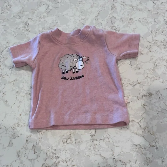 Kiwi & Friends Pink Top, Size 12M - Picture 1 of 6
